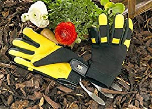 Gloves - gloves,
