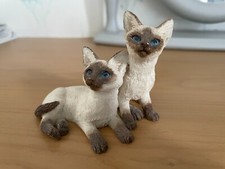 BEAUTIFUL SIAMESE KITTEN CATS  by LEONARDO