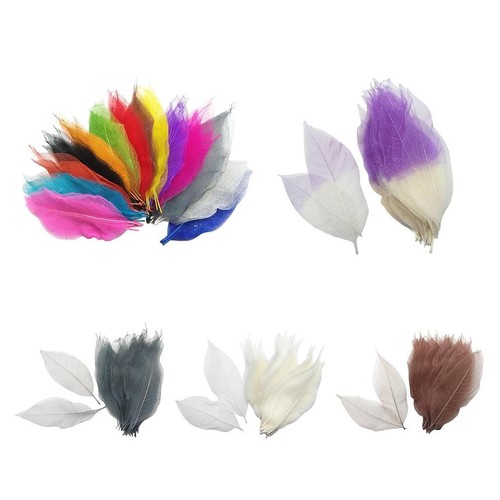 100 pieces natural magnolia - 100,