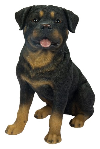 Vivid arts rottweiler dog - arts,