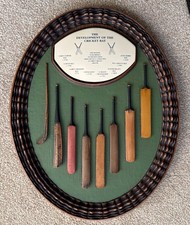 THE DEVELOPMENT OF THE CRICKET