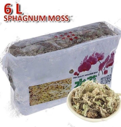 Sphagnum moss 12l organic - sphagnum, 6l/12l