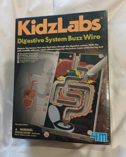 Kidzlabs digestive system buzz - kidzlabs,