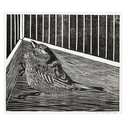 Bird cage expressionist - cage,