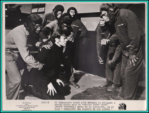 Roddy mcdowell don murray in - don,