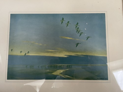 Peter scott print whitefronts - print,