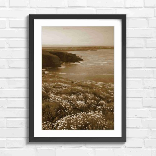 Seaside cliffs with pink - cliffs,