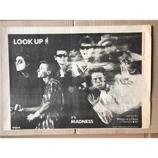 MADNESS WINGS OF A DOVE POSTER SIZED original music press advert from 1983 - pri
