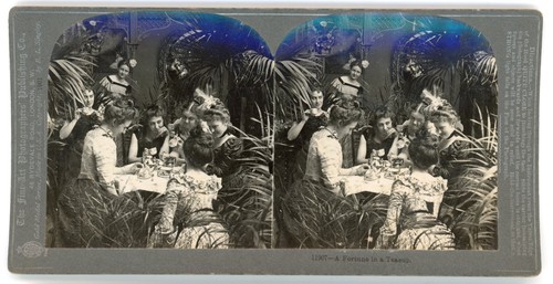 Stereoview stereoscope card - stereoview,