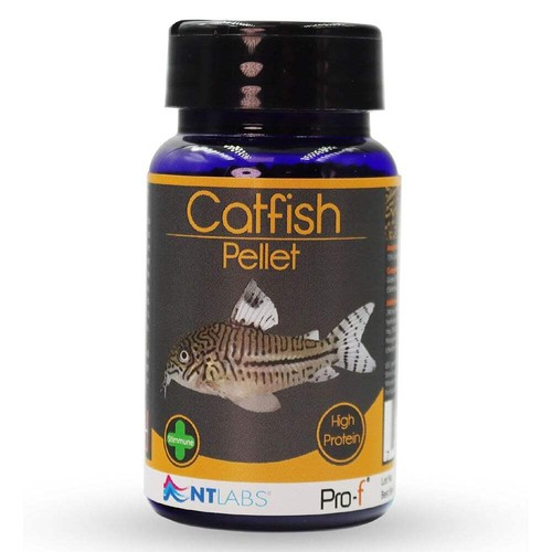 Labs pro catfish - nt,