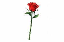 Flower Building Blocks Mini