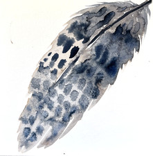 Original Watercolour Feather