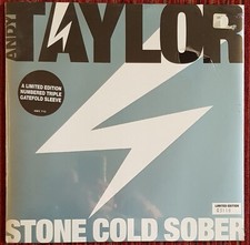 ANDY TAYLOR DURAN DURAN STONE COLD SOBER UK 12 INCH LIMITED EDITION, NEW, SEALED