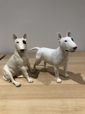 2 English Bull Terrier Dog