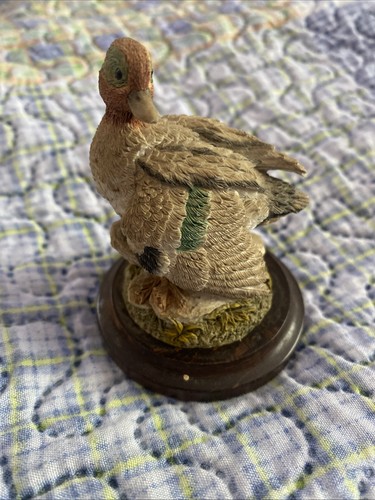 Country artists duck - artists,