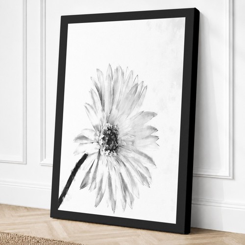 Single daisy study botanical - single,