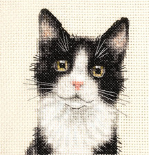 BLACK + WHITE TUXEDO CAT