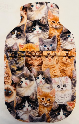 Cats kittens hot water - &,