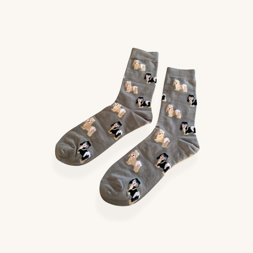 Tibetan terrier dog socks - tibetan,