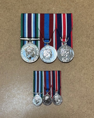 Wider service platinum jubilee - platinum,