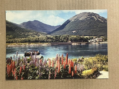 Postcard scotland - postcard,