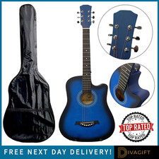 BLUE ACOUSTIC GUITAR CUTAWAY