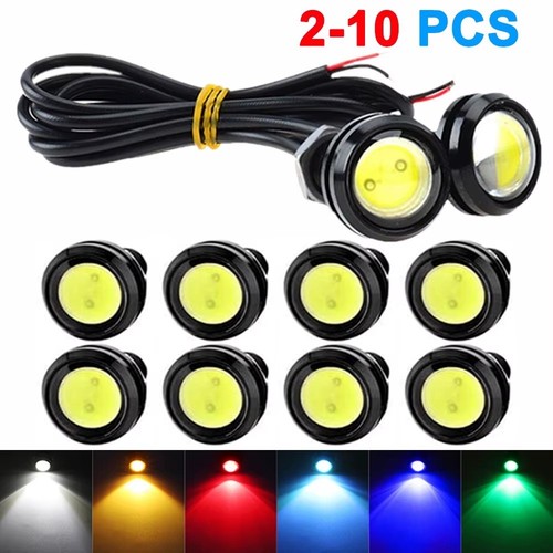 2pcs new 18mm - 2pcs, eagle