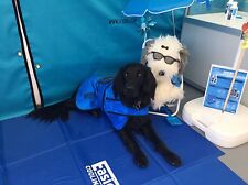 Easidri / Chilli Paws Dog Cooling Coat, Towel & Cooling Mat,  ALL Sizes Free P&P