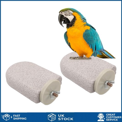 Natural volcanic rock - volcanic, bird