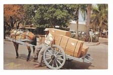 Postcard Nassau Bahamas Native