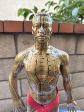 acupuncture model