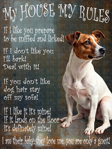 Jack russell dog house my - my,