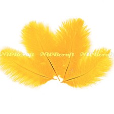 Gold Natural Genuine Ostrich Feather Fluffy Costume Craft Party Decor