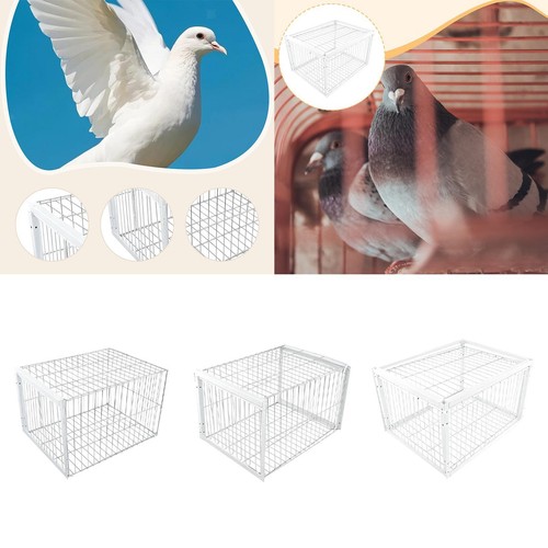 Pigeon trap cage - pigeon,