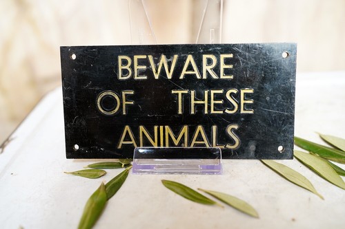 Bristol zoological gardens a - bristol,