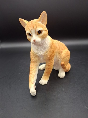 Country artists ginger tabby - ginger,