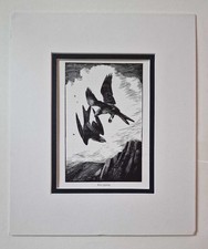 WATKINS-PITCHFORD (BB) Kites