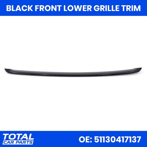 Black lower radiator - lower, grille
