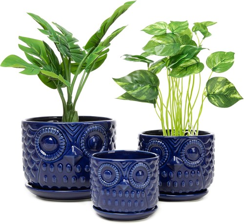 Ceramic flower planters with - flower,