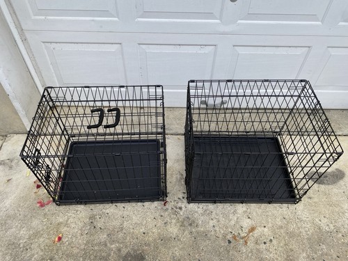 Look two puppy dog - , crates