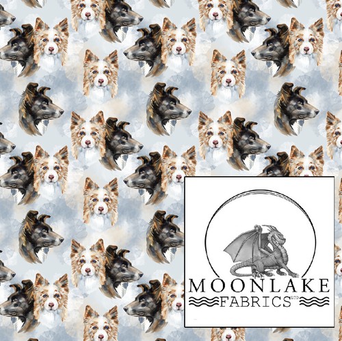 Dogs border collie heads - dogs,