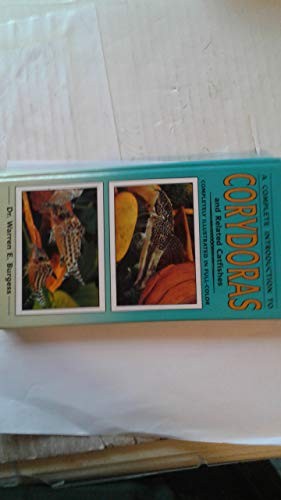 Complete guide corydoras - complete, to