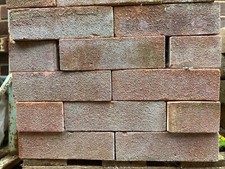 25 x mixed colour LBC Heather