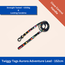 Twiggy Tags Aurora Adventure