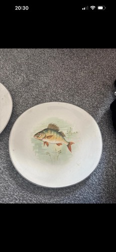 Wedgewood plates - wedgewood,