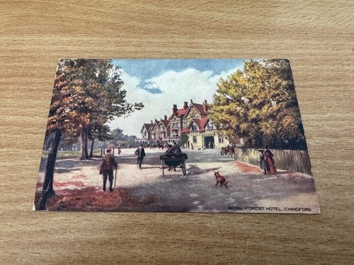Postcard royal forest hotel - -,