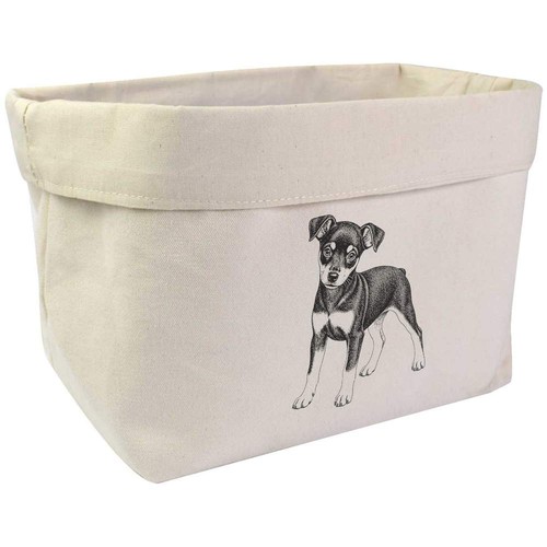 Miniature pinscher puppy - 'miniature, puppy'