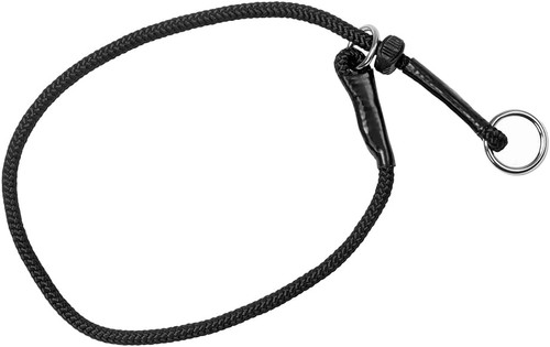 Dingo gear dog training - training, collar