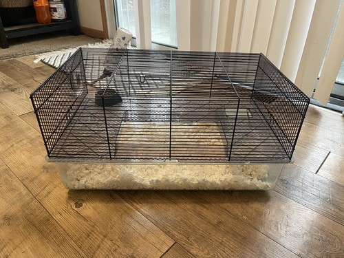 Hamster cage and accessories - hamster,
