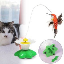Electric Bird Teaser Kitten